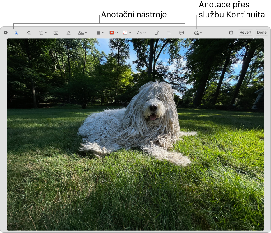 Obrázek v okně Anotace s panelem nástrojů s nástroji pro anotace a nástrojem, na který lze kliknout, chcete-li použít Anotace přes Kontinuitu na iPhonu nebo iPadu v blízkosti.