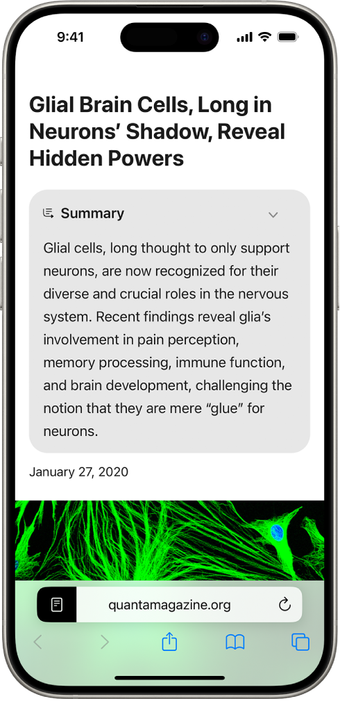 An iPhone showing a website in the Safari app. A summary of the website is at the top of the screen.