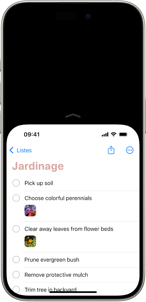 Écran de l’iPhone avec la fonction « Accès facile » activée. La partie supérieure de l’écran s’est déplacée vers le bas pour être à portée de votre pouce.