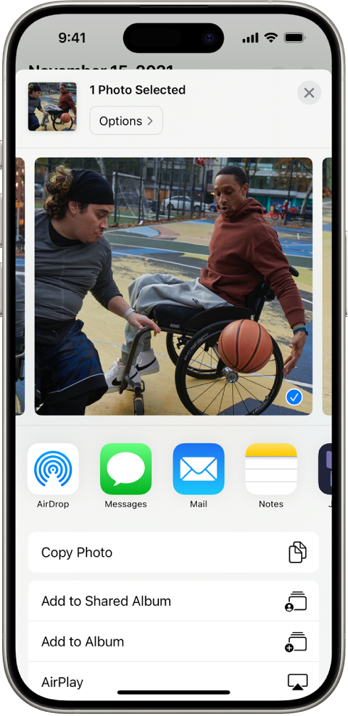 iPhone ସ୍କ୍ରୀନ୍‌ର ଶୀର୍ଷ ଭାଗରେ ଏକ ଚୟନିତ ଫଟୋ ଡିସ୍‌ପ୍ଲେ ହୋଇଛି ଏବଂ ନିମ୍ନରେ ଶେୟର୍ କରିବା ବିକଳ୍ପଗୁଡ଼ିକର ଏକ ରୋ ଅଛି। ନିମ୍ନରେ ଅତିରିକ୍ତ ବିକଳ୍ପଗୁଡ଼ିକ ଦେଖାଯାଏ, ଯେଉଁଥିରେ ଫଟୋ କପି କରନ୍ତୁ, ଶେୟର୍ କରାଯାଇଥିବା ଆଲ୍‌ବମ୍‌ରେ ଯୋଡ଼ନ୍ତୁ, ଆଲ୍‌ବମ୍‌ରେ ଯୋଡ଼ନ୍ତୁ ଏବଂ AirPlay ଅନ୍ତର୍ଭୁକ୍ତ।
