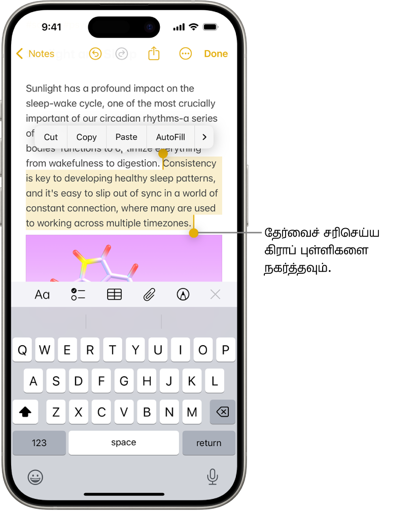 “குறிப்புகள்” செயலியில் உள்ள குறிப்பில் உரை தேர்ந்தெடுக்கப்பட்டுள்ளது. தேர்ந்தெடுக்கப்பட்ட உரைக்கு மேலே “வெட்டு”, “நகலெடு”, “ஒட்டு”, “தானாக நிரப்புதல்” ஆகிய பட்டன்கள் உள்ளன. இரு முனைகளிலும் உள்ள தேர்வுகளைச் சரிசெய்ய, கிராப் புள்ளிகளுடன் தேர்ந்தெடுக்கப்பட்ட உரை ஹைலைட் செய்யப்படுகிறது.